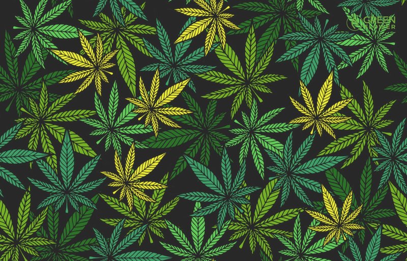 Паттерн канабис