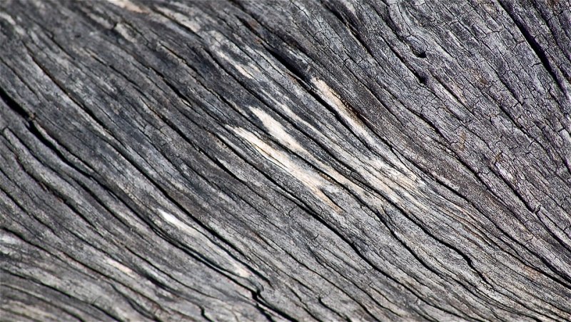 Фактурное дерево