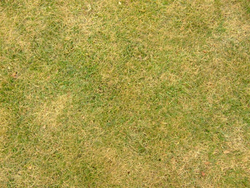 Земля текстура бесшовная для 3d Max