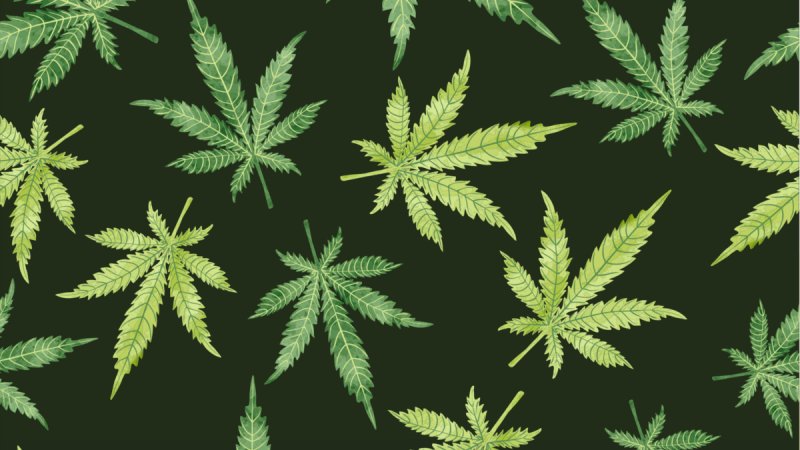 Паттерн канабис