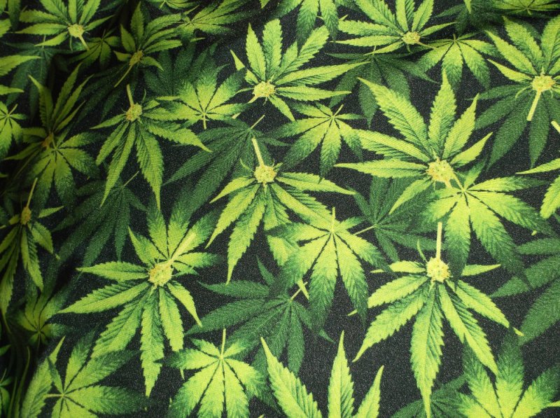 Канабис 2д