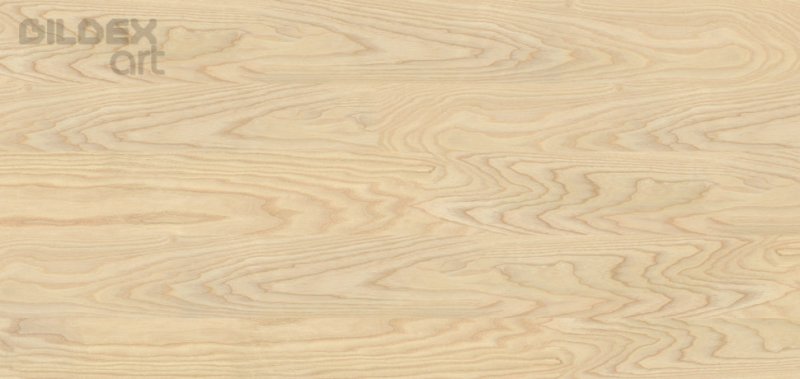 Шпон ясеня текстура