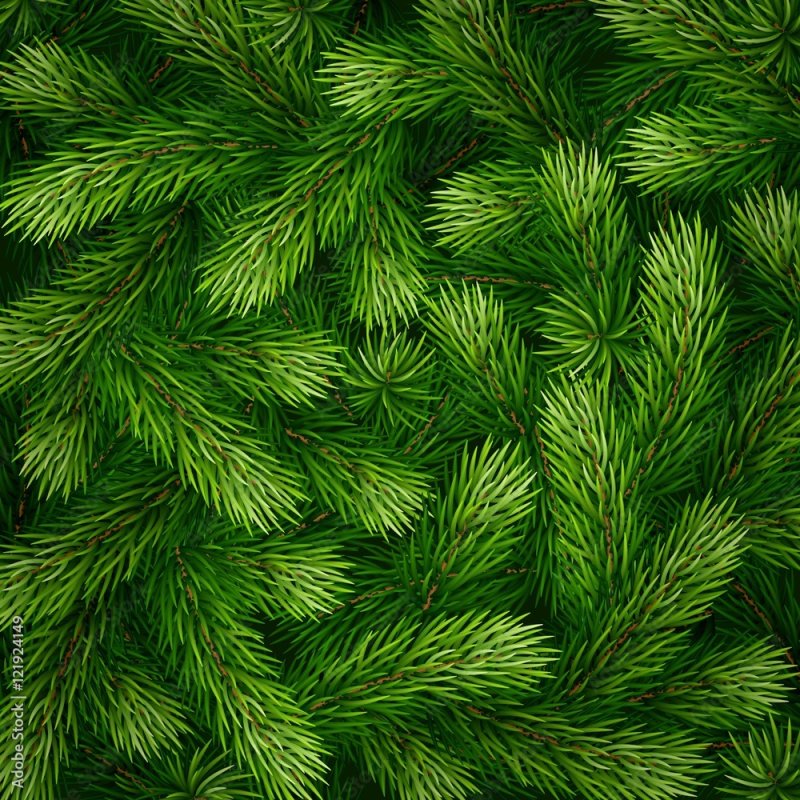 Паттерн еловые ветки
