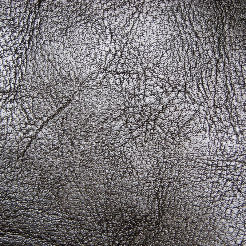 Текстура кожи