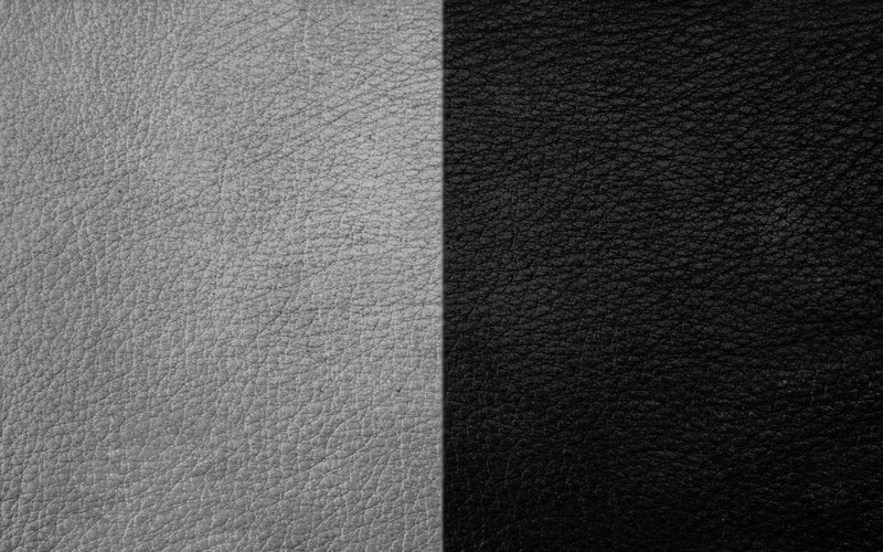 Фактура кожи