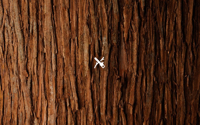 Текстура коры дерева