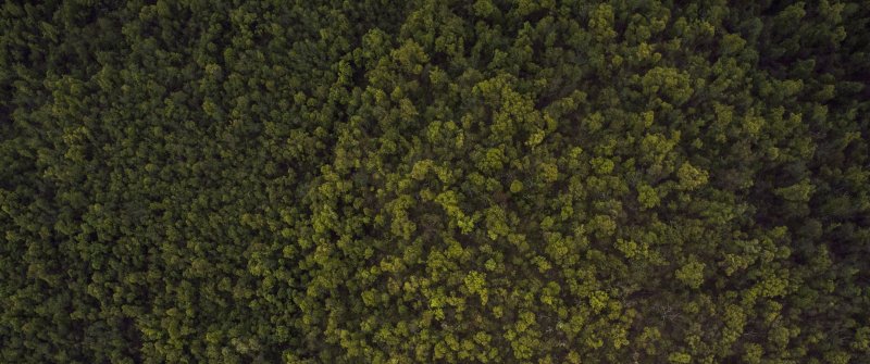 Текстура ландшафта