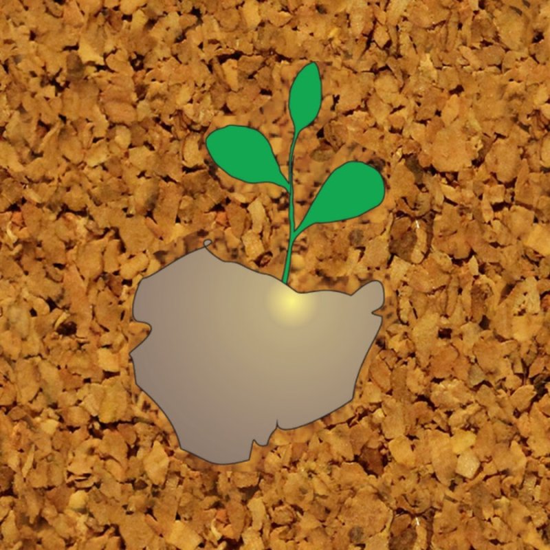 Пробка текстура бесшовная