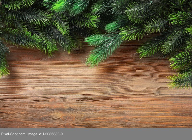 Ветка Еловая