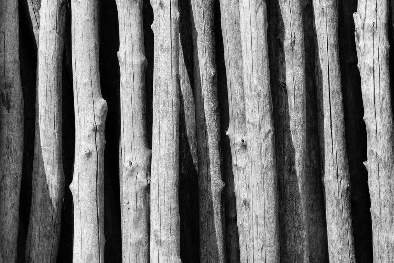 Фактура дерева