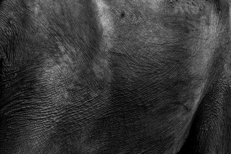 Текстура человеческой кожи