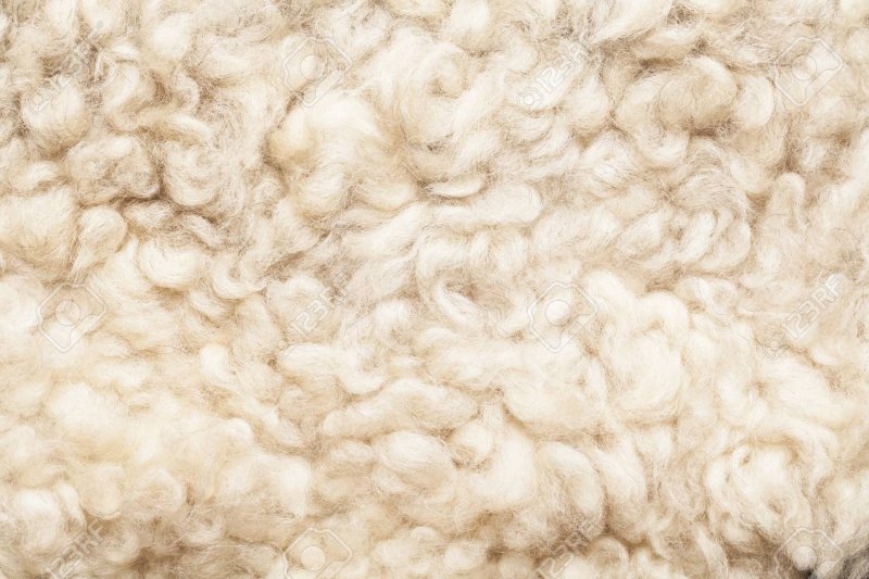 Шерсть овечья 3ds Max