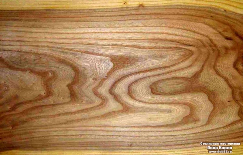 Тангентальный шпон ясеня