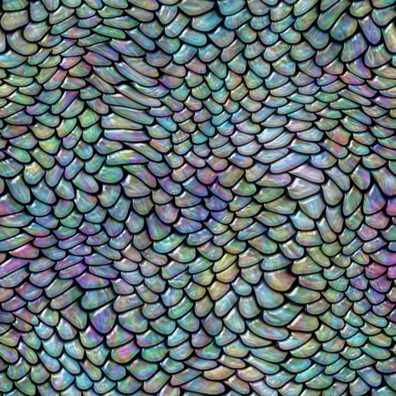 Чешуйка дракона