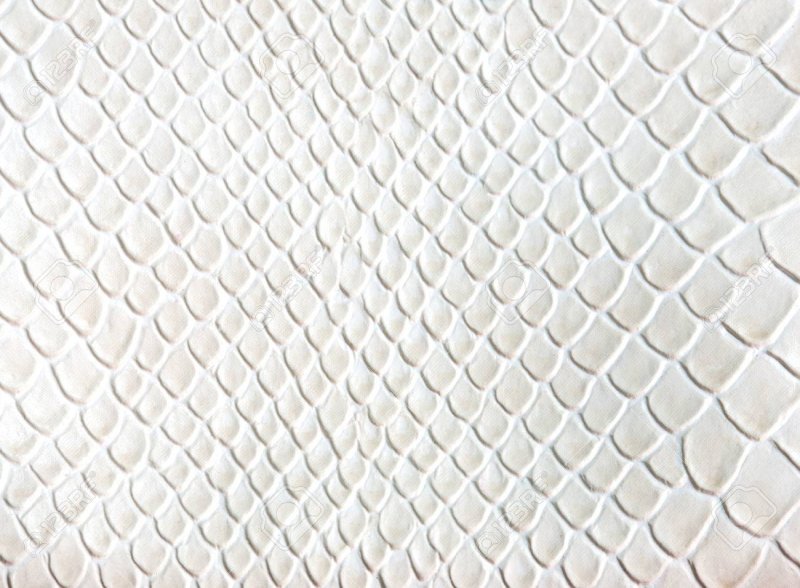 Белая змеиная кожа