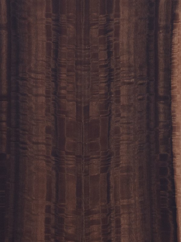 Вудсток эвкалипт шпон