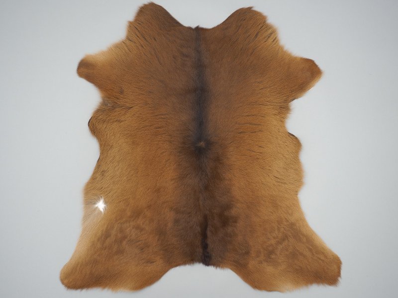 Шкура оленя