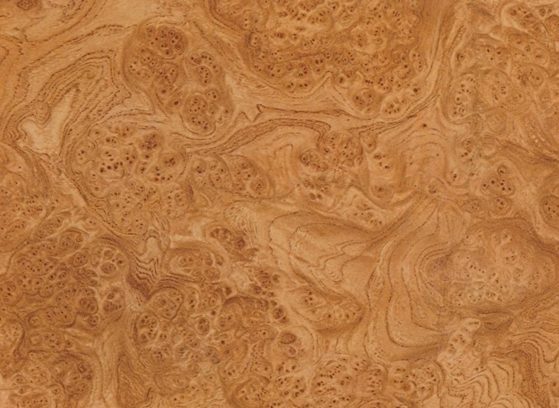 Шпон карельской березы