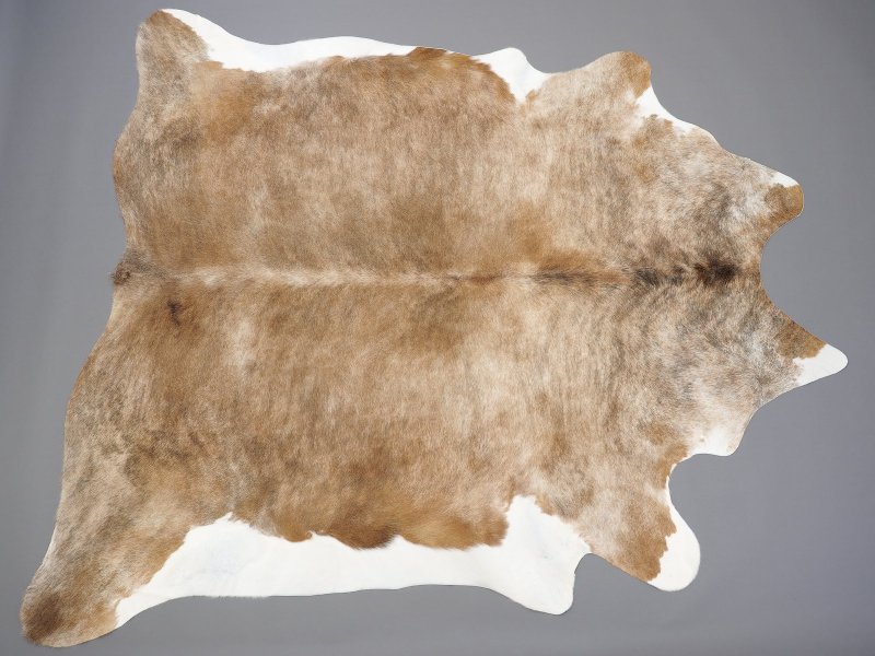 Шкура быка