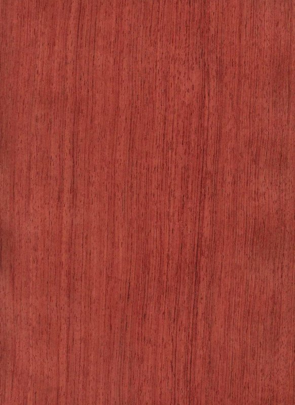 Текстура дерева бубинго