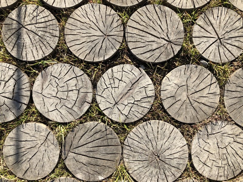 Дорожка из срезов дерева