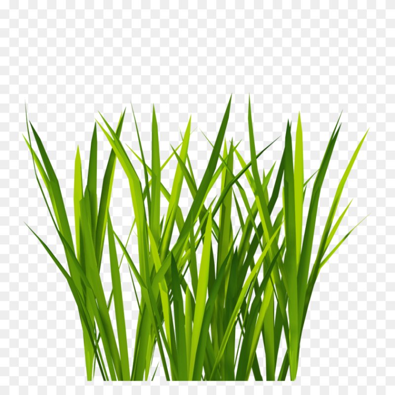 Трава вектор