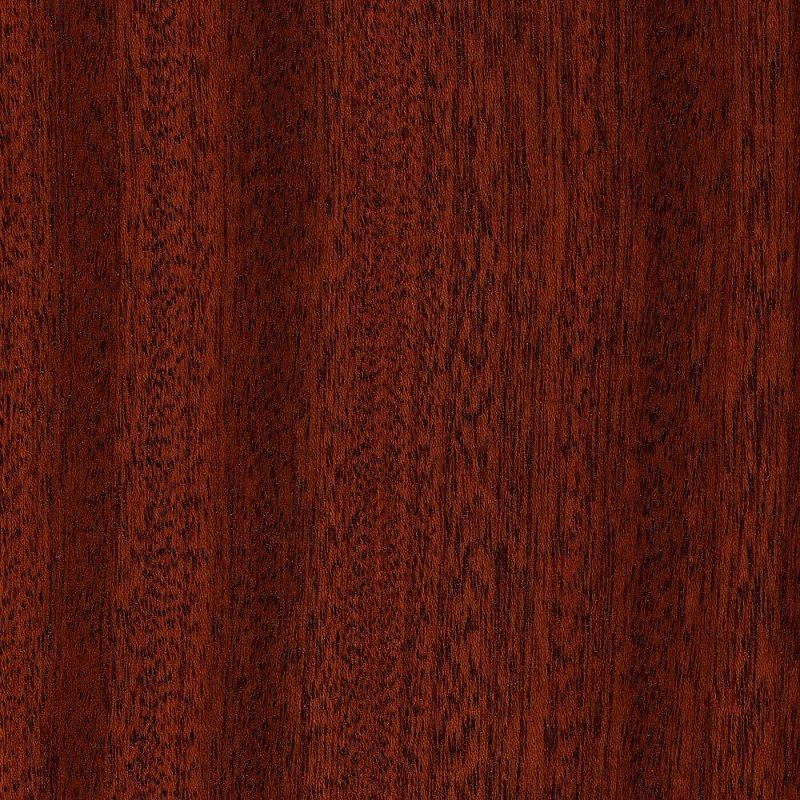 Красное дерево Mahogany