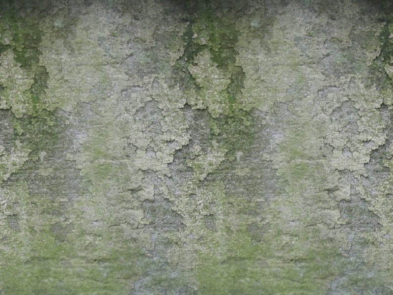 Зеленая бетонная стена