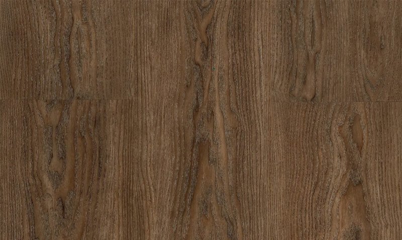 Шпон дуб Европейский