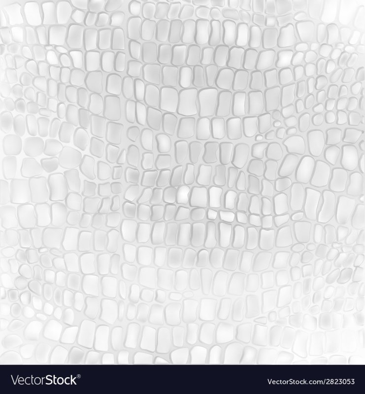 Кожа белой змеи