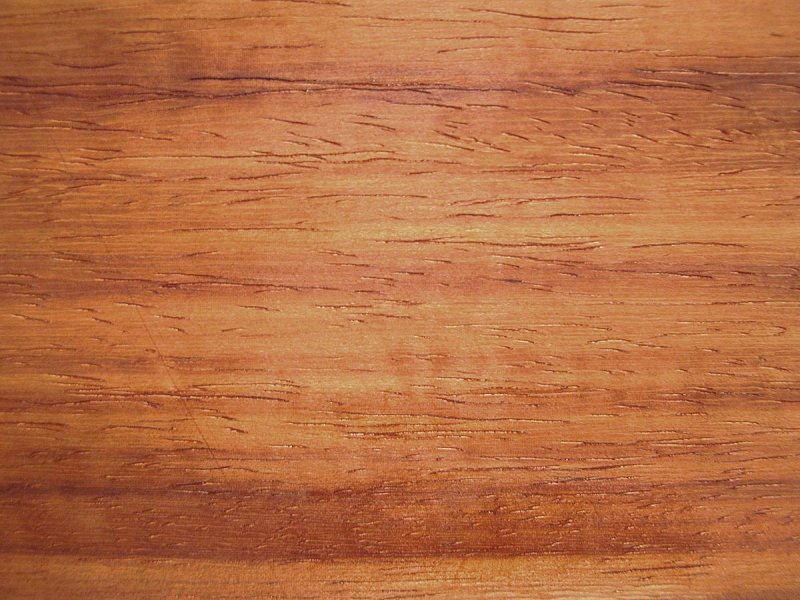 Красное дерево Падук