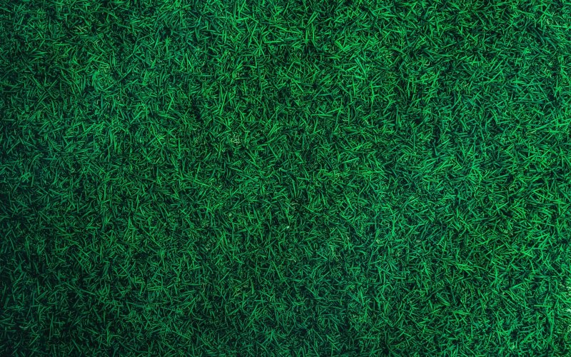 Трава вид сверху