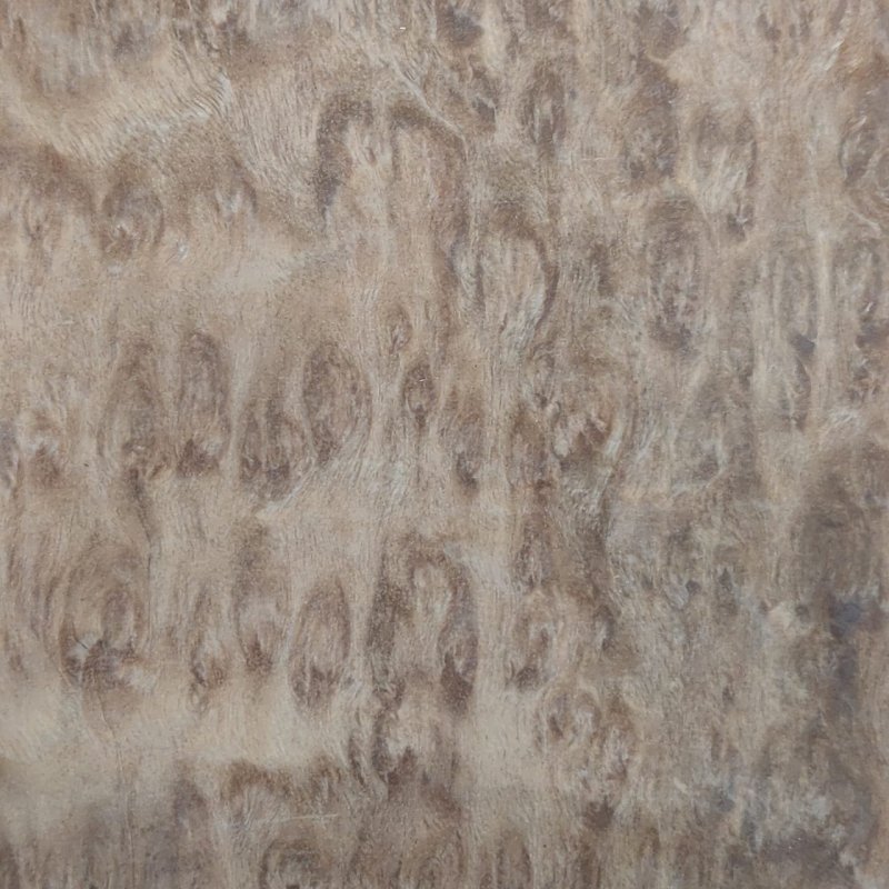 Шпон эвкалипта помеле Вудсток