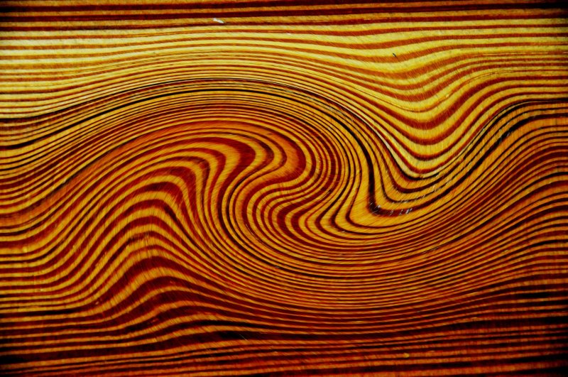 Текстура древесины