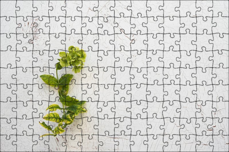 Светлый фон с растениями