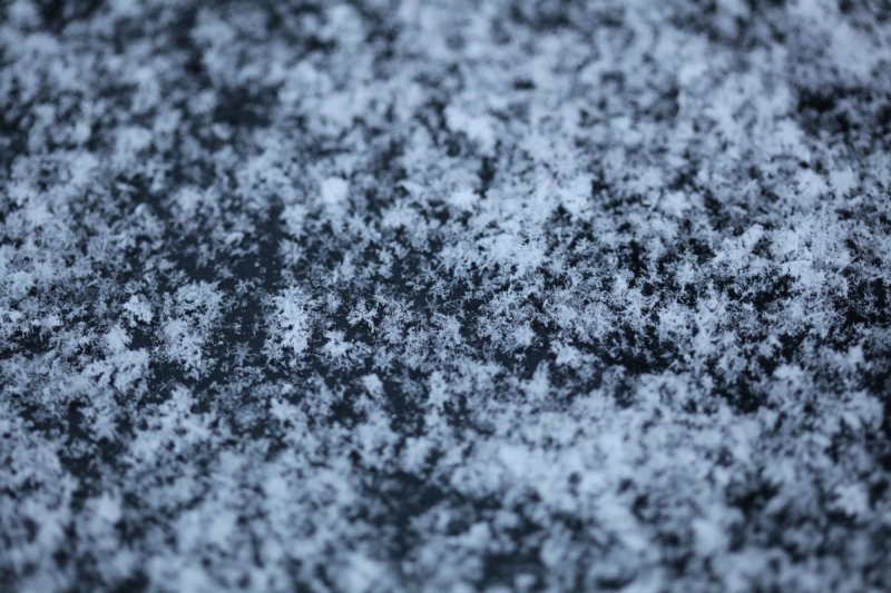 Сон текстура