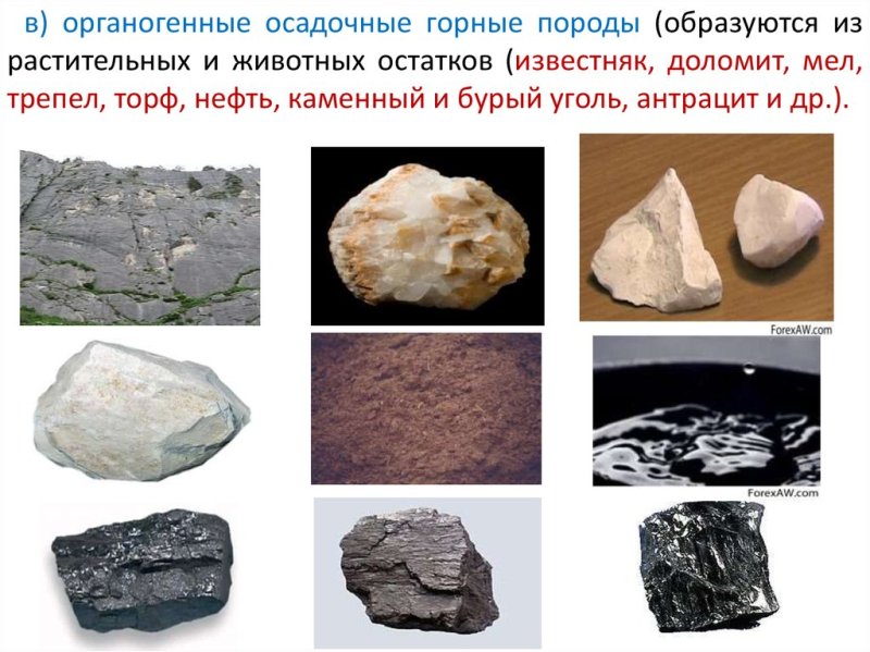 Мергель осадочные горные породы