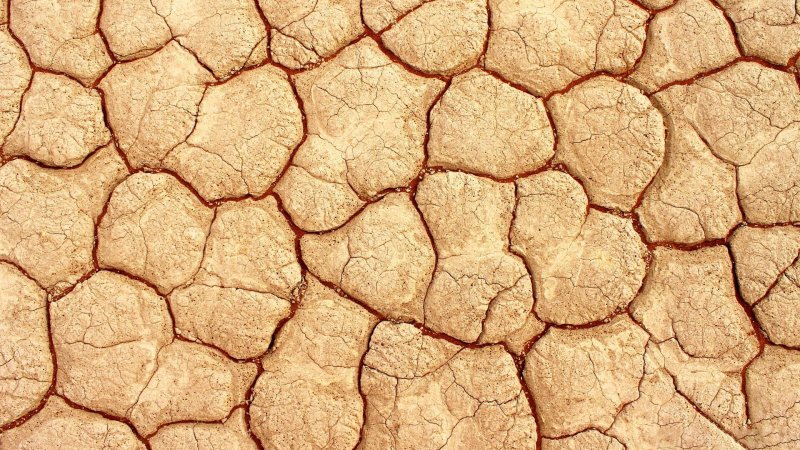 Потрескавшаяся земля