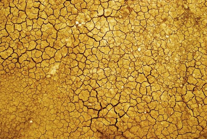 Сухая земля