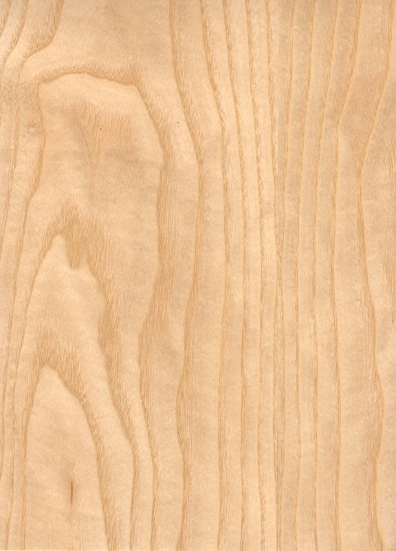 Ясень фактура древесины