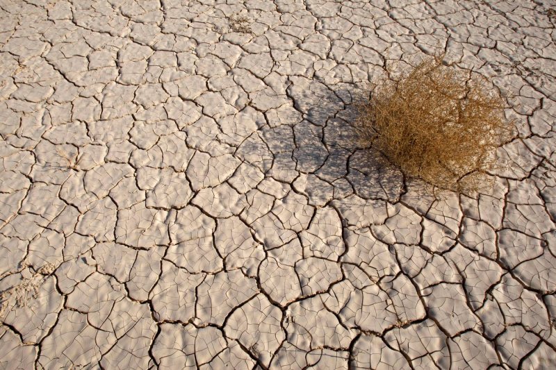 Сухая земля