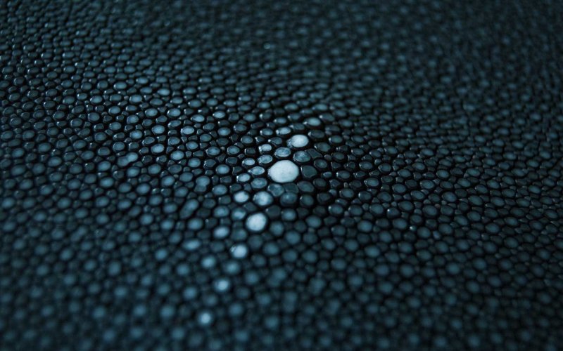 Кожа ската фон