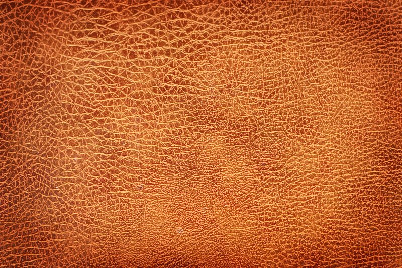 Текстура кожи