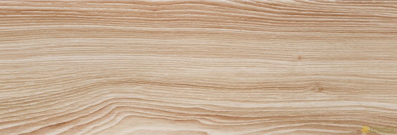 Ясень продольный срез