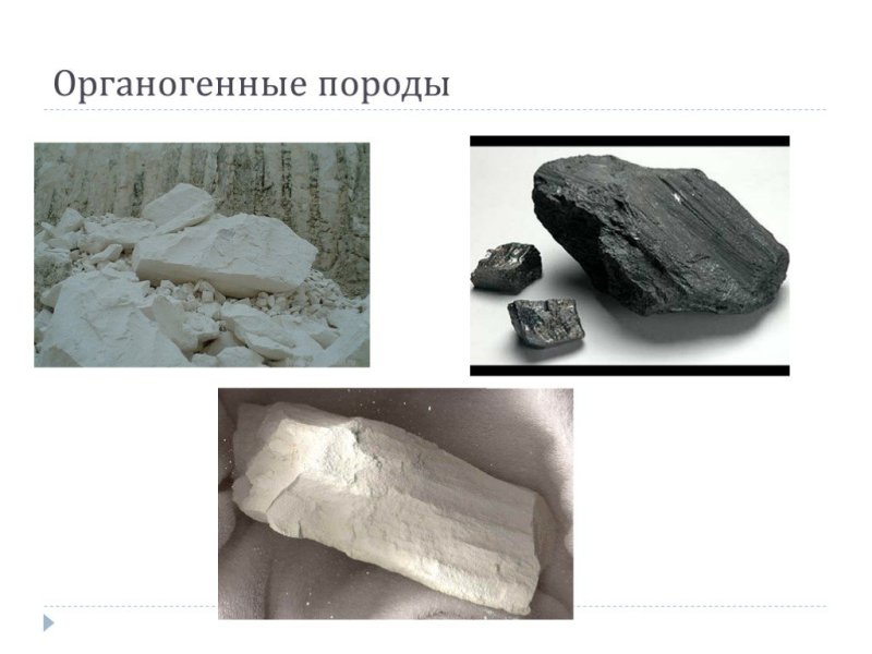 Хемогенные осадочные горные породы