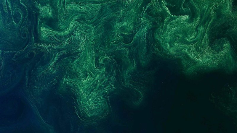 Мрамор зеленый малахит