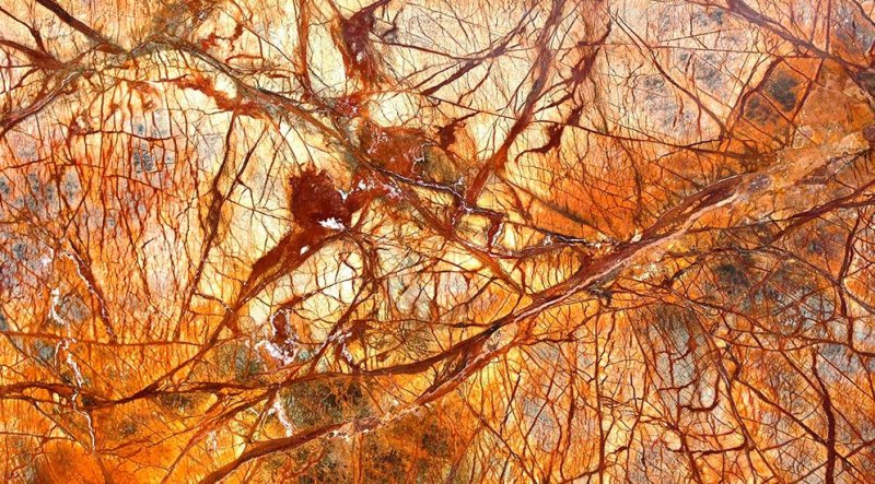 Бидасар Голд