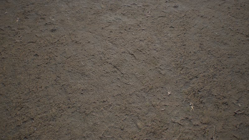 Текстура земли