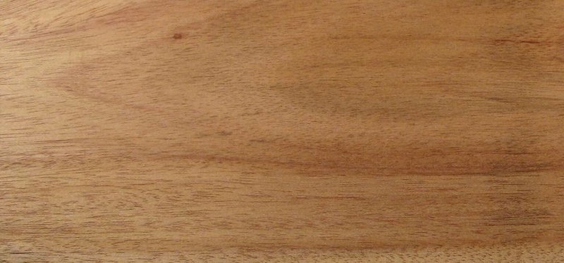 Дерево манго древесина