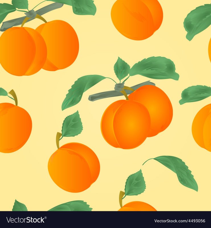 Абрикос паттерн